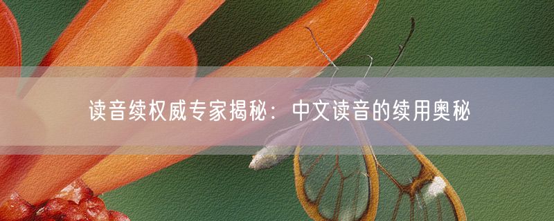 读音续权威专家揭秘：中文读音的续用奥秘