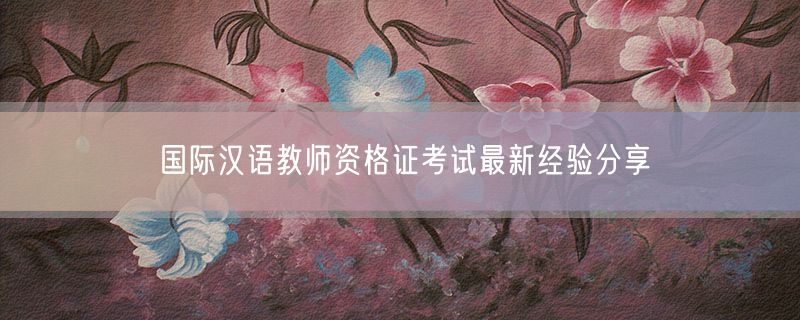 国际汉语教师资格证考试最新经验分享