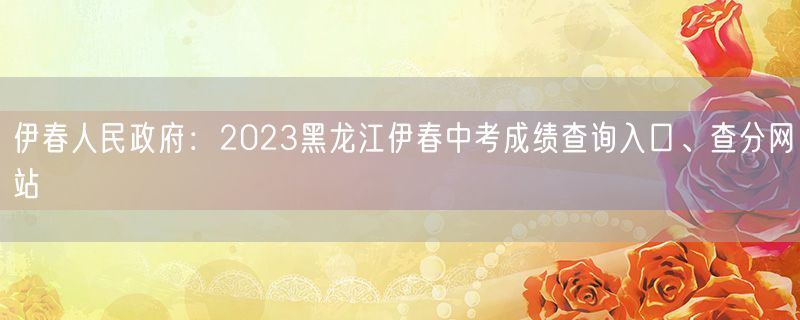 伊春人民政府：2023黑龙江伊春中考成绩查询入口、查分网站